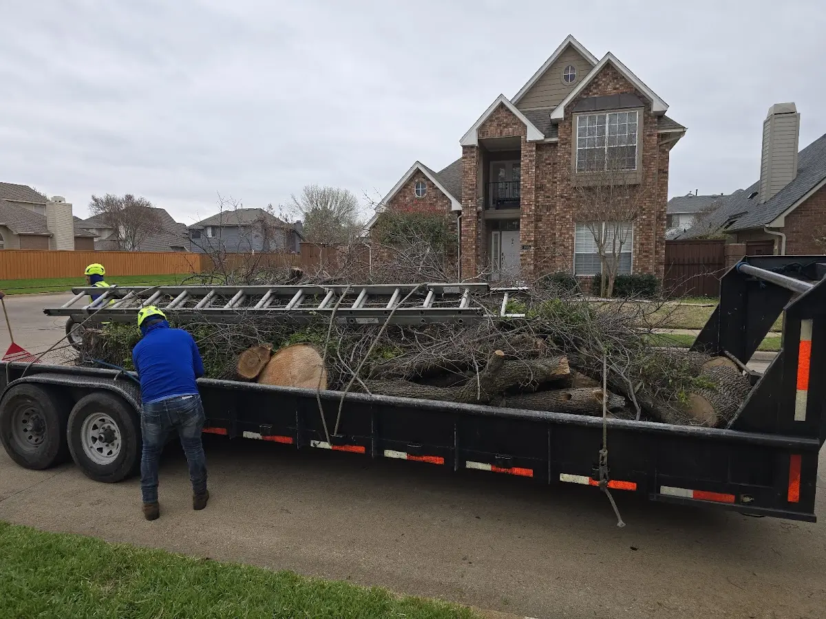 Expert Tree Removal with proper safety equipment in Deale